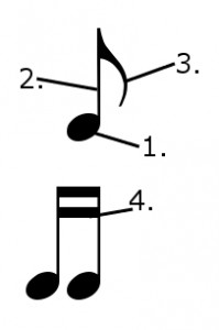parts of a music note