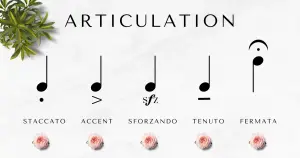 articulation markings