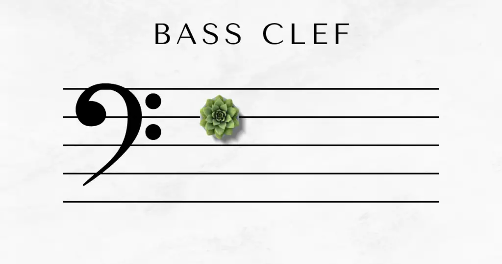 bass clef staff