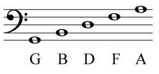 notes in bass clef