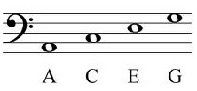 notes in bass clef